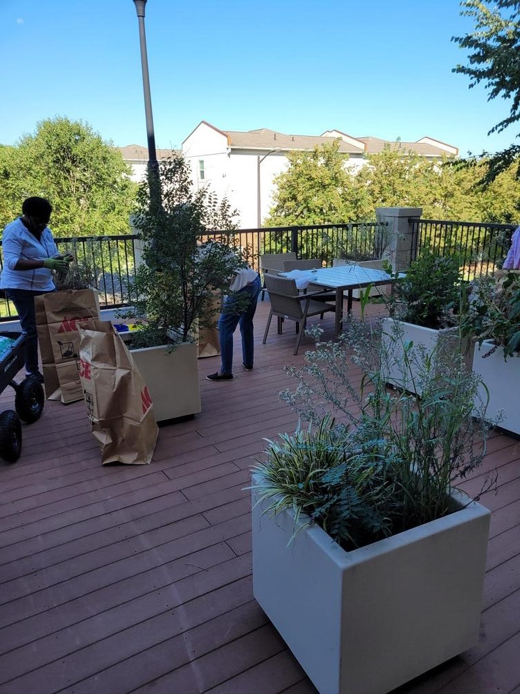 DEHAGA - Flower image.jpg